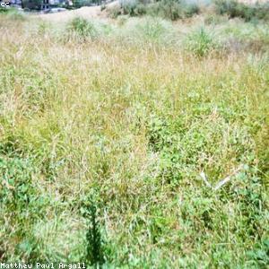 Stainless Steel Knife Set 14pc