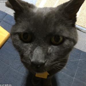 Bamboo Cutting Board Set