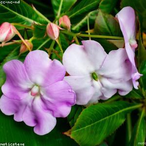 Vacuum Insulated Tumbler 30oz