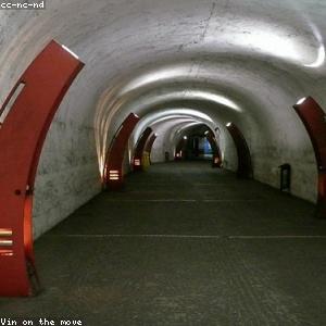 Wine Rack Countertop 12-Bottle