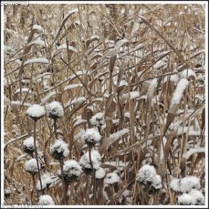 Duvet Insert Queen Down Alternative