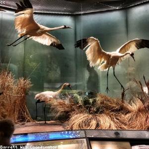 Thinking, Fast and Slow