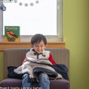 The 7 Habits of Highly Effective People