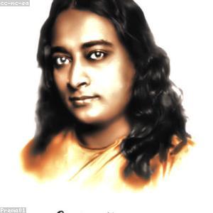 Ankle Weights 5lb Pair