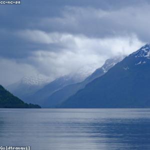 Massage Gun Percussion