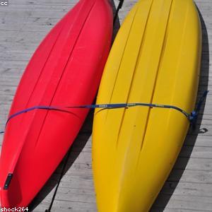 Running Armband Phone Holder