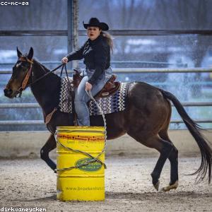 Classic Fit Cotton T-Shirt