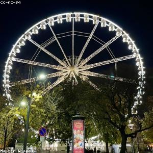 Oxford Button-Down Shirt