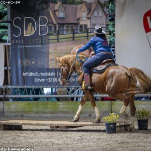 Leather Belt Classic