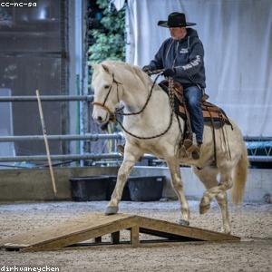 V-Neck Cashmere Sweater