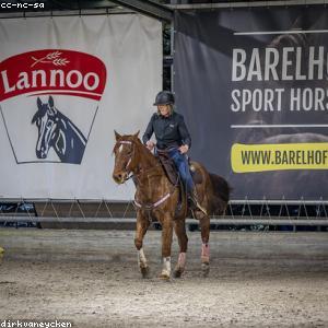 Flat Front Dress Pants