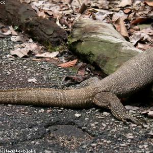 Smart Watch Series 9